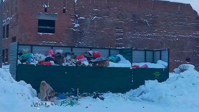 В районе Бурятии два месяца не вывозили мусор