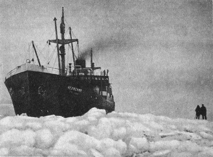 82 года назад 13 февраля в Чукотском море был раздавлен льдами пароход «Челюскин»