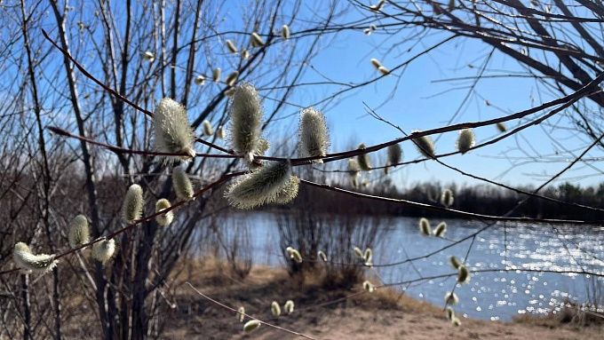Воздух в Бурятии прогреется до +16 градусов