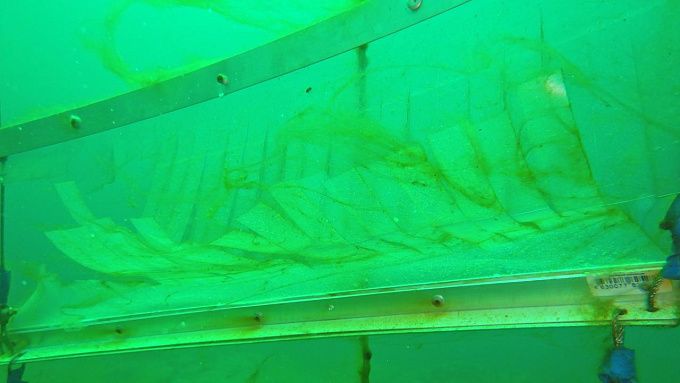 Пластиковые ловушки установили на Байкале