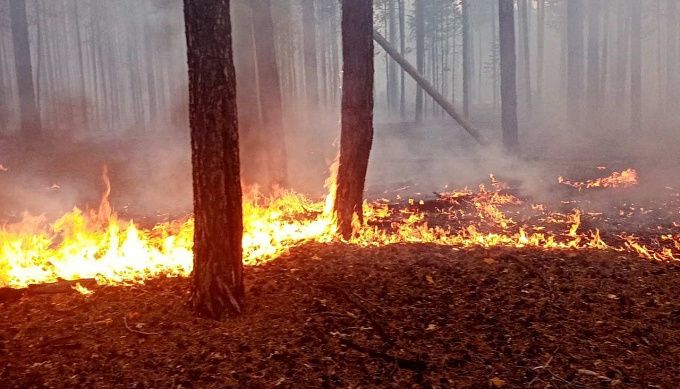 В Бурятии площадь лесных пожаров увеличилась в два раза за сутки
