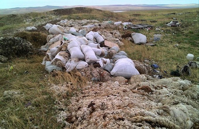 В районе Бурятии обнаружили скотомогильник, отравляющий сельхозземли