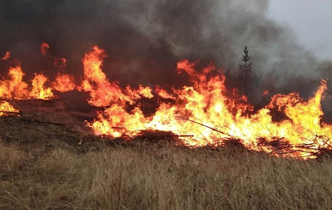 Лес горит в 7 районах. В Бурятии пожары охватили 239 гектаров земли