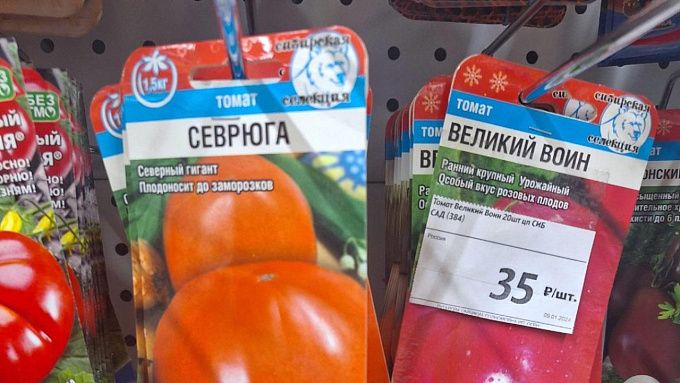 В Улан-Удэ торговали контрафактными семенами овощей