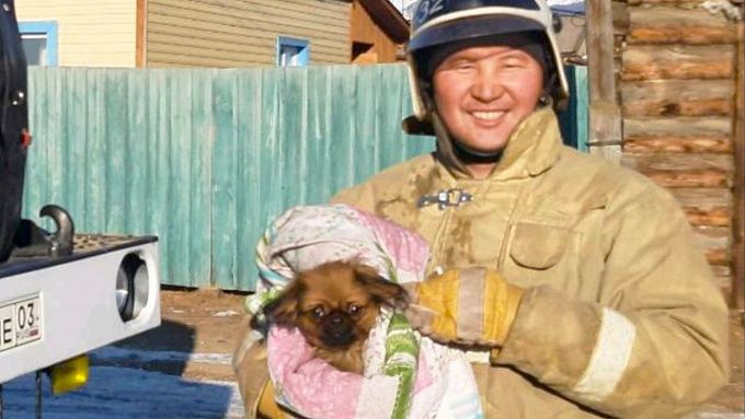 Пожарные спасли маленькую собачку из-под завалов сгоревшего дома в Бурятии
