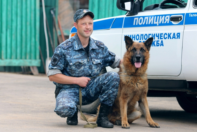 В Улан-Удэ пёс Мухтар помог поймать преступника