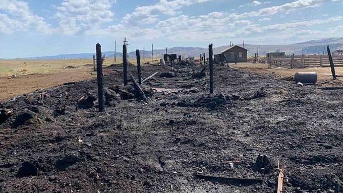 Более 30 голов скота погибли на пожаре в Бурятии
