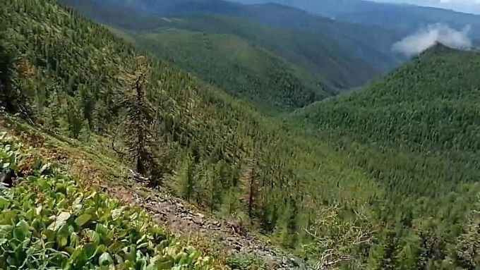 Туриста с травмой спасли в горах Бурятии