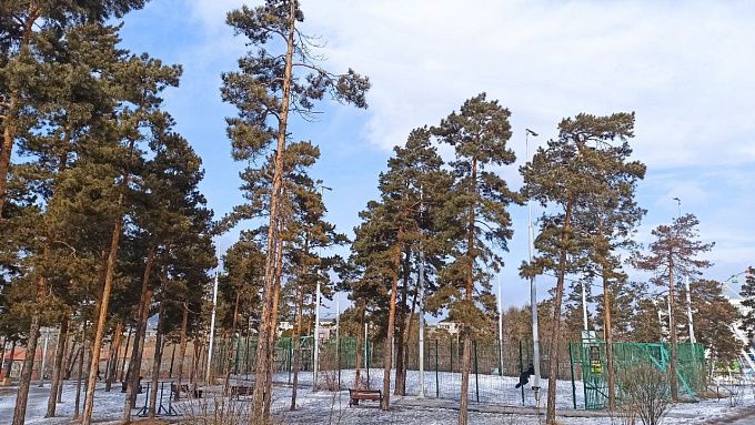 Парки Улан-Удэ обработают от клещей