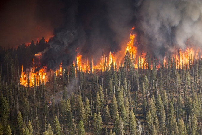 В Якутии площадь природных пожаров превысила 1,2 млн га