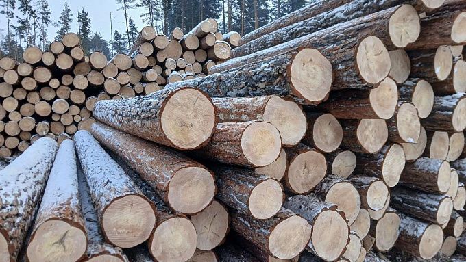 1500 кубометров бурятского леса отправили в Китай и Казахстан