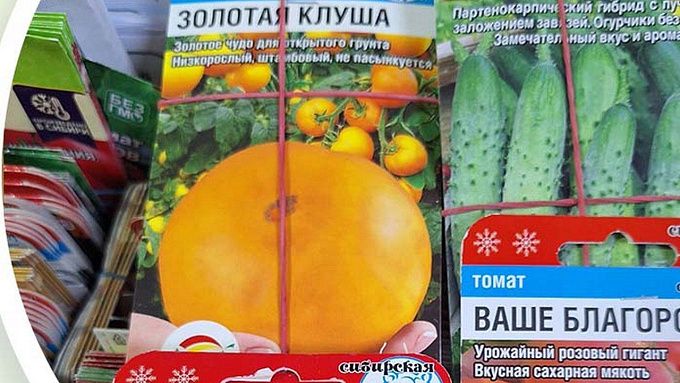 Контрафактные семена томатов, огурцов и перца продавали в Улан-Удэ