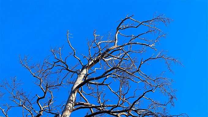 К выходным в Бурятии немного потеплеет