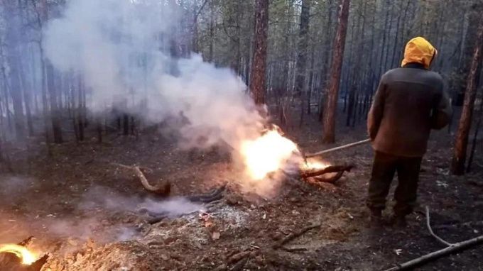 В районе Бурятии из-за неосторожных людей горит 8 гектаров тайги