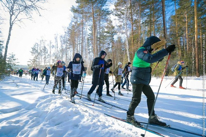 Кружок лыжные гонки