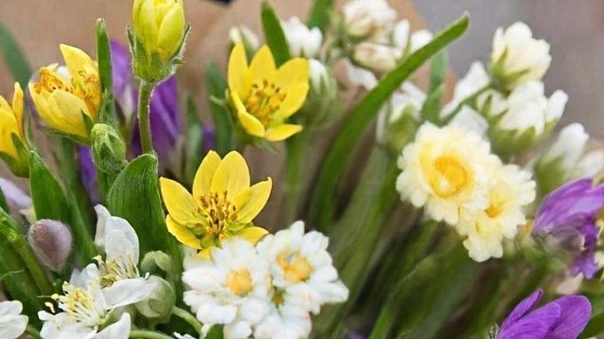 Тюльпан за 400 рублей: Бурятия вошла в топ регионов с самыми дорогими цветами