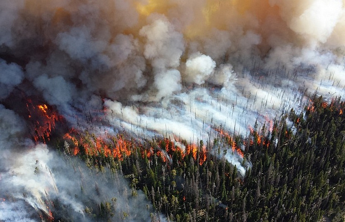 На севере Бурятии зарегистрирован лесной пожар