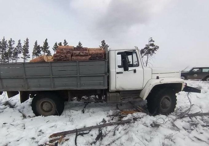 В Бурятии устроили погоню за черными лесорубами