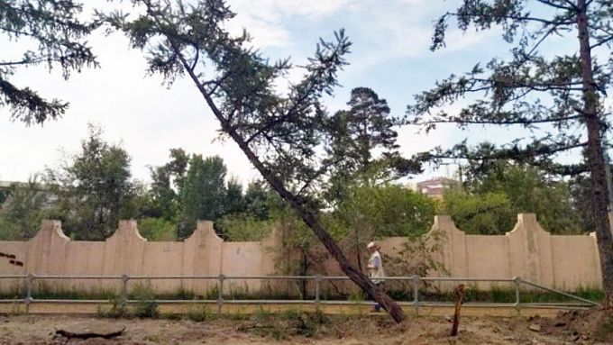 В Улан-Удэ рабочие повредили почти 70 деревьев во время ремонта дороги