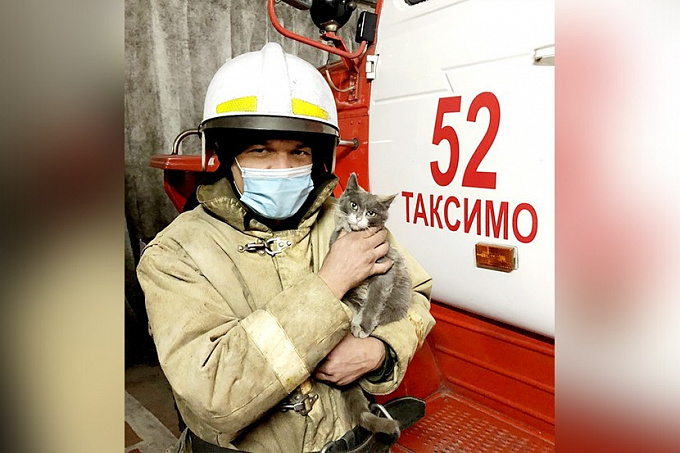 В Бурятии брутальные пожарные приютили котика