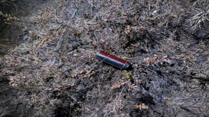 Тело нашли в лесу: В Улан-Удэ стали известны подробности ЧП с ребенком, отравившимся газом