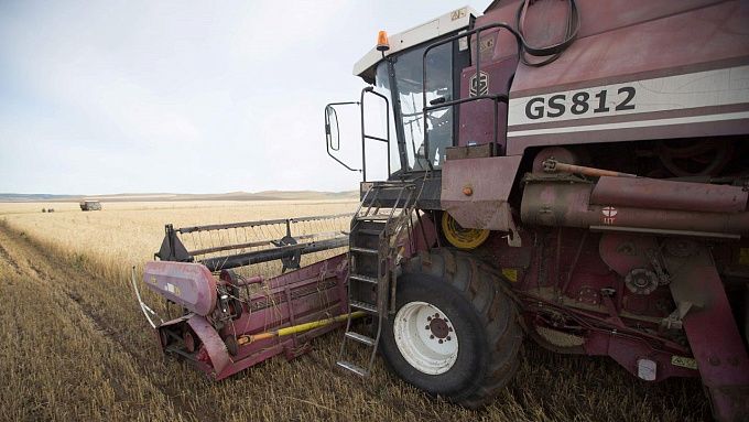 В Бурятии из-за засухи собрали меньше урожая В Бурятии из-за засухи собрали меньше урожая
