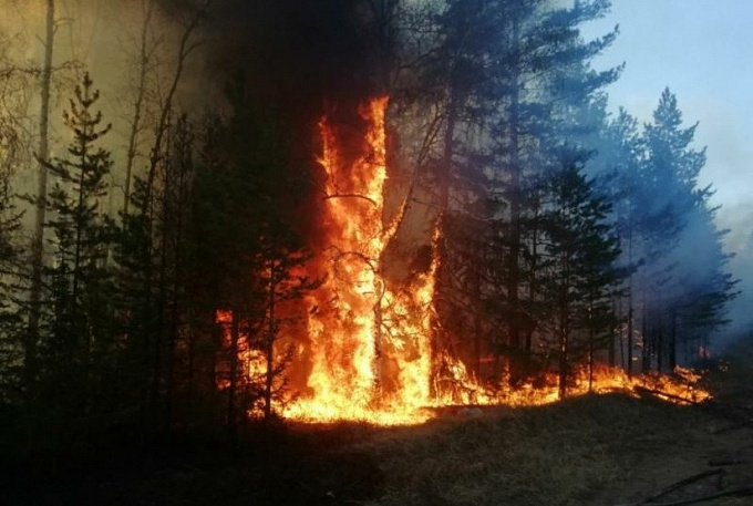 В Бурятии за сутки тушили 10 лесных пожаров