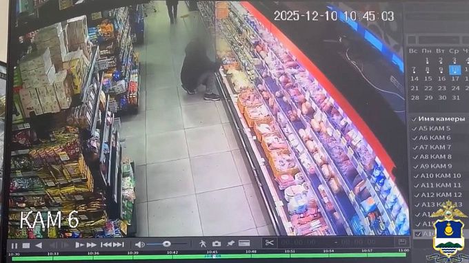 «Сыррр!»: Двух «Рокфоров» поймали в Улан-Удэ 