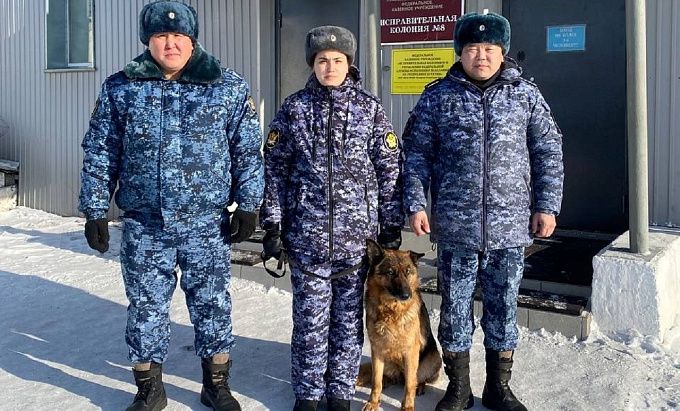 «Услышали крики»: в Улан-Удэ нашли в лесу мужчину с обморожениями