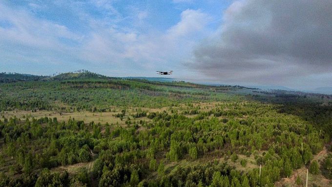 Вторые сутки подряд в лесах Бурятии не фиксируют новых пожаров