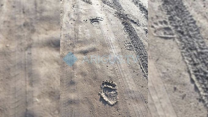 Медведя, которого заметили в пригороде Улан-Удэ, пока не нашли