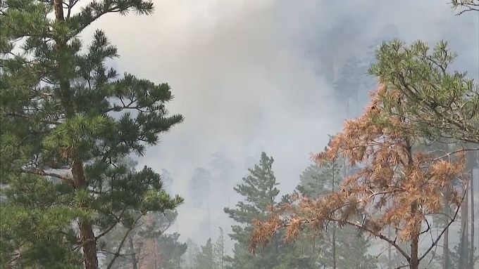Более 800 млн рублей выделили на борьбу с лесными пожарами в Бурятии