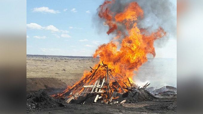 В Бурятии сожгли свалку трупов коров